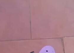 Enlace a La DronChancla será el hit de estas navidades, por @jcarlos2001