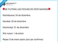 Enlace a Por fin, fechas de Navidad filtradas, por @Guillem_do