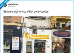 Enlace a ¡Un estanco albino!, por @luiswingg