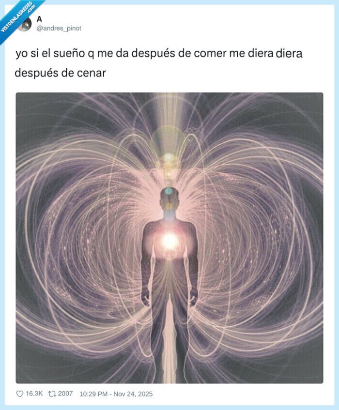 sueño,energía,alimentación,aspiración,vibración
