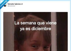 Enlace a ¿Ya estás listo para el frío y el exceso de panettone?