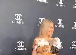 Enlace a El claro ejemplo de la loca de los gatos, por @_soyrubitaaa_