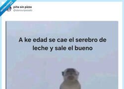 Enlace a A mí aún no me ha caído