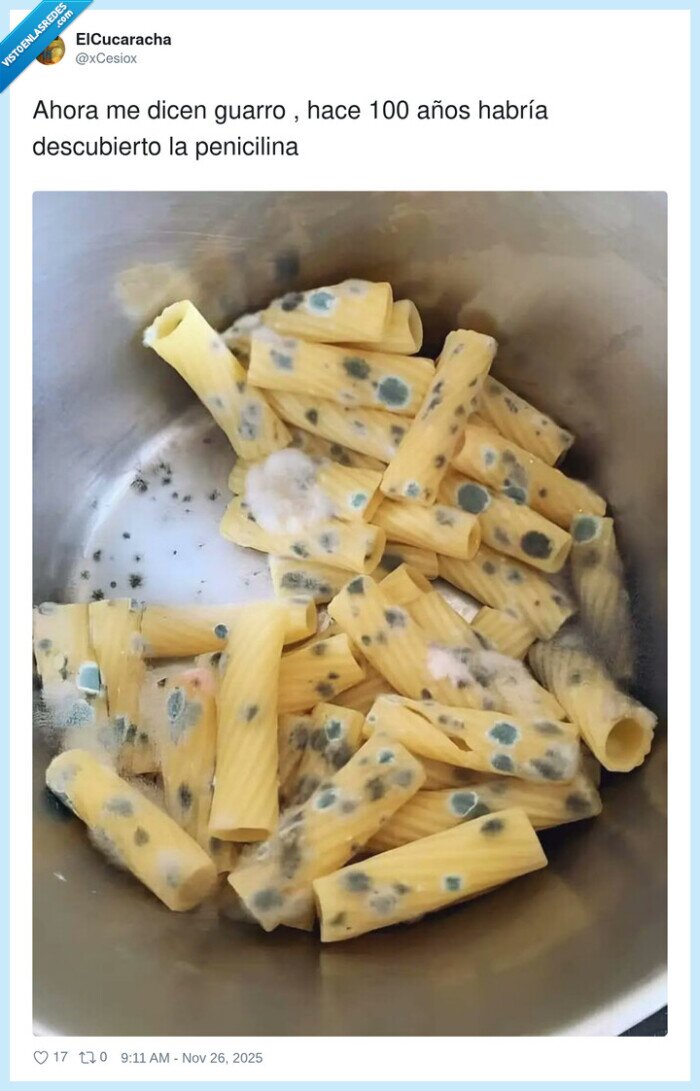 pasta,moho,penicilina,broma,ciencia