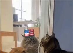 Enlace a Los memes que suben los chinos a sus redes sociales, por @Ma_WuKong