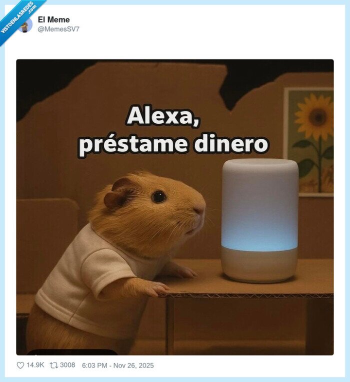 Conejo,Alexa,Prestar,Dinero,Divertido