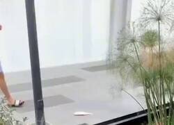 Enlace a Los hombres ya no son hombres, por @MicaDeJota