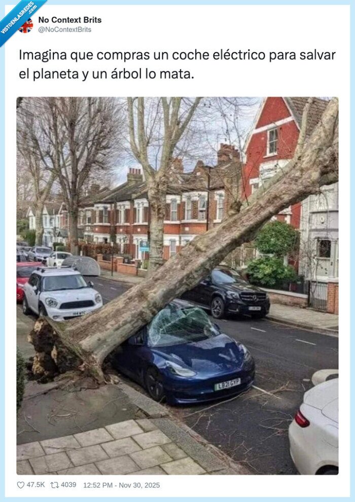 coche eléctrico,arbol caído,accidente vial,destrucción,tesla