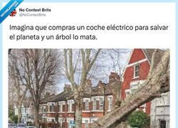 Enlace a El árbol no quería salvar el planeta, por @NoContextBrits