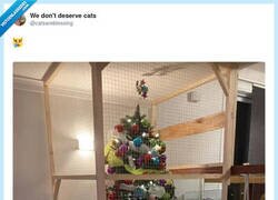 Enlace a Jaque mate, gatos, por @catsareblessing