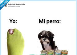 Enlace a A mi perro que no le falte de nada, por @SuavesLomitos