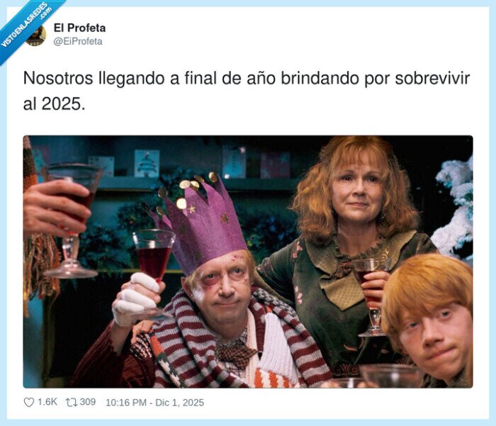 2025,sobrevivir,brindis,año,familia