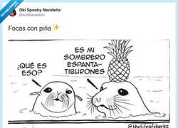 Enlace a Confirmado: la piña arruina hasta las focas, por @ardillakoalaoki