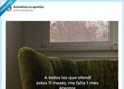 Enlace a Tranquilos, mi red flag favorito es la constancia