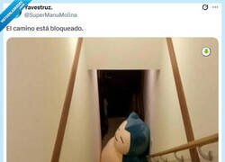 Enlace a Tócale la flauta por @supermanumolina