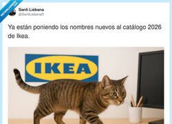 Enlace a Presentamos la estantería BLRRGHÖN 3000, por @SantiLiebanaR