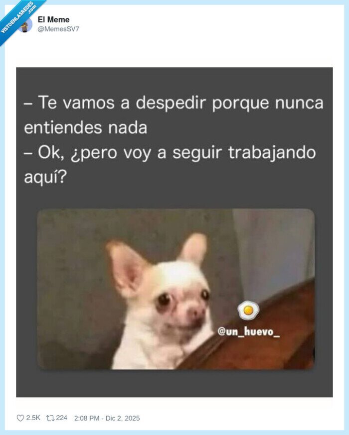 despido,trabajo,confusión,perro,puesta