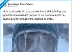 Enlace a Entrar a LinkedIn sin filtro anti-humo es básicamente un acto suicida de autoestima, por @anitaskywalker