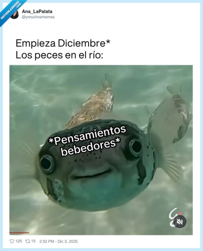 Diciembre,peces,pensamientos,bebedores,río