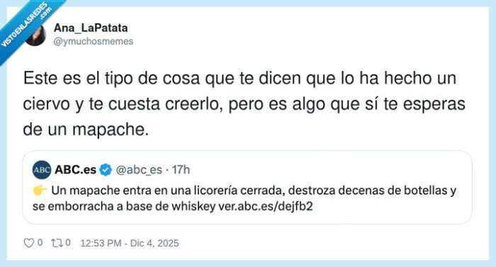 mapache,licorería,whiskey,destrucción,anécdota