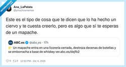 Enlace a España no tiene mapaches, tiene clientes VIP de after, por @ymuchosmemes