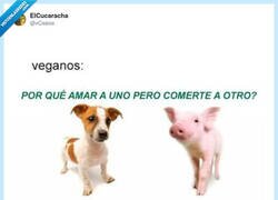 Enlace a Pues los dos a la cazuela, por @xCesiox