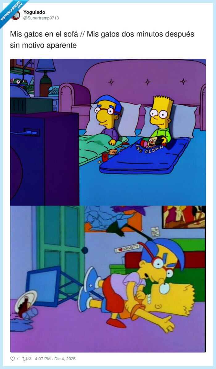 gatos,sofa,caos,sorpresa,bart