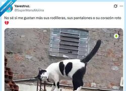 Enlace a Ha sufrido por @supermanumolina