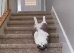 Enlace a Vamos a por la semana, gente, por @jcarlos2001