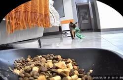 Enlace a Ojalá tener un colega así, por @IsaacVtuber11