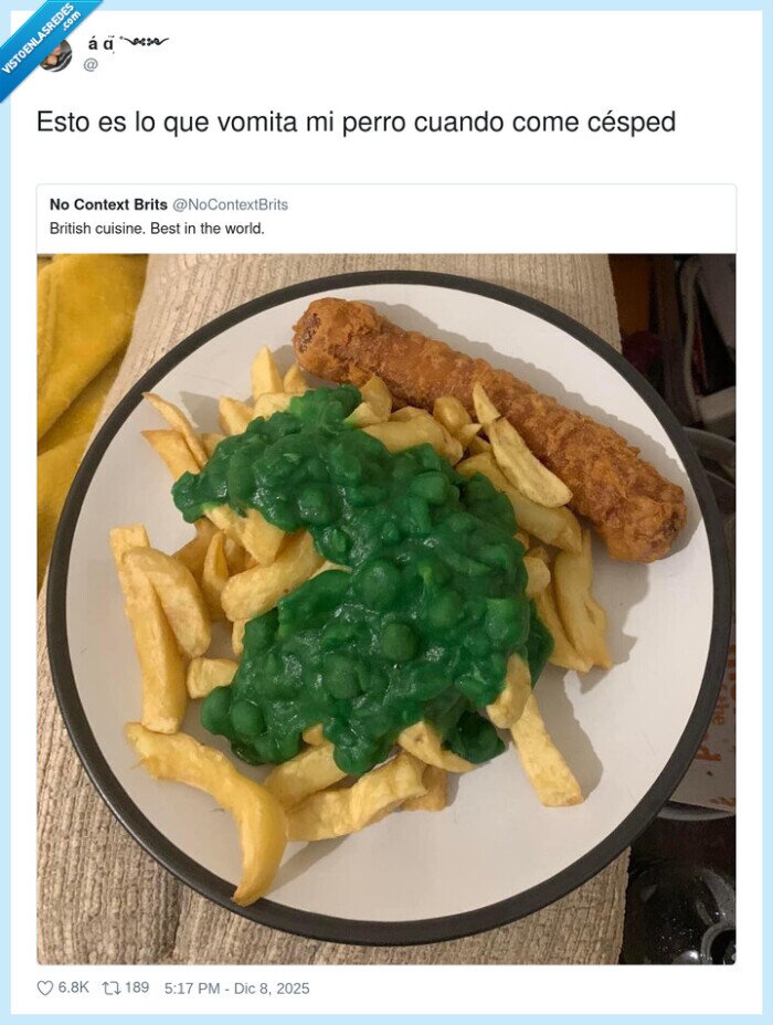 perro,vómito,césped,comida,inglés