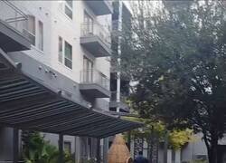 Enlace a Es que se lo ha buscado, por @EIRancheroLoco