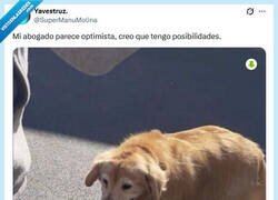 Enlace a El mejor amigo del hombre por @supermanumolina