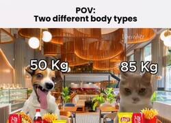 Enlace a La gente que más odio son esos que engullen como si no hubiera un mañana, y no engordan