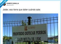 Enlace a Tranqui, agente, yo solo me estaba cagando en el Ayuntamiento, no en los perros, por @jcarlos2001