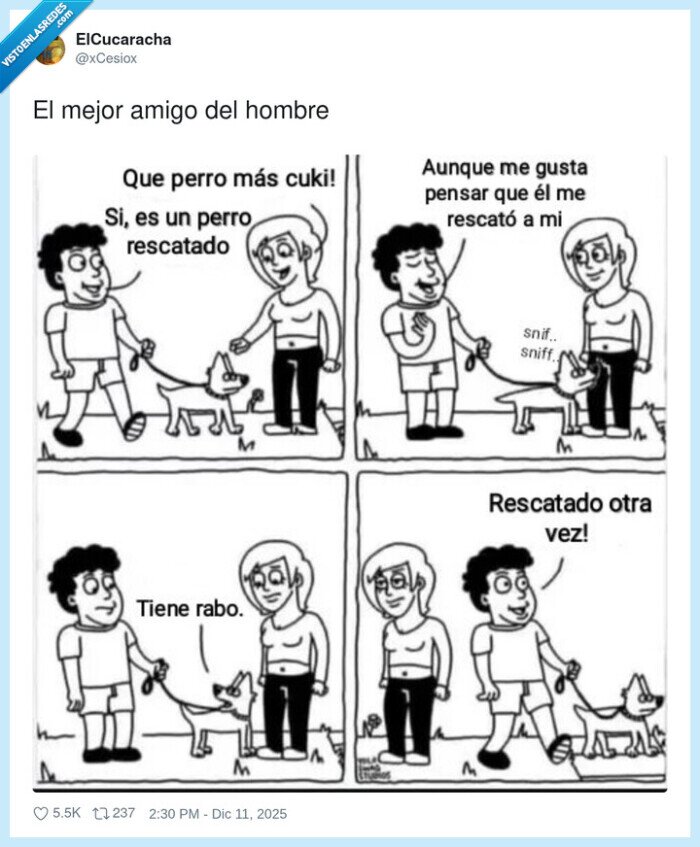 perro,rescate,amistad,cariño