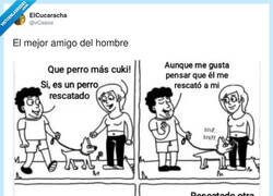 Enlace a El perro rescatando más culos que Protección Civil, por @xCesiox