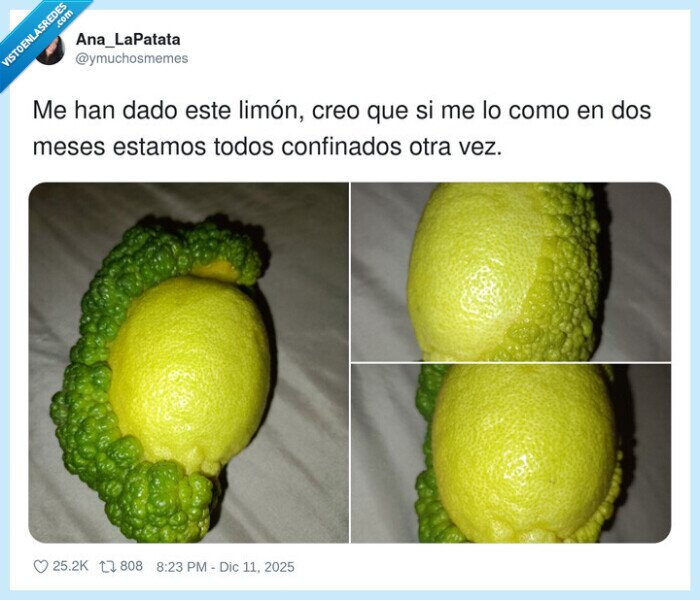 limón,anomalía,naturaleza,confinamiento,fruta