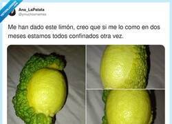 Enlace a Parece sacado de The Last of Us, por @ymuchosmemes