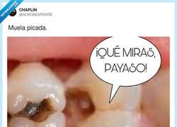 Enlace a La muela que te juzga, por @NOROBESPIERRE