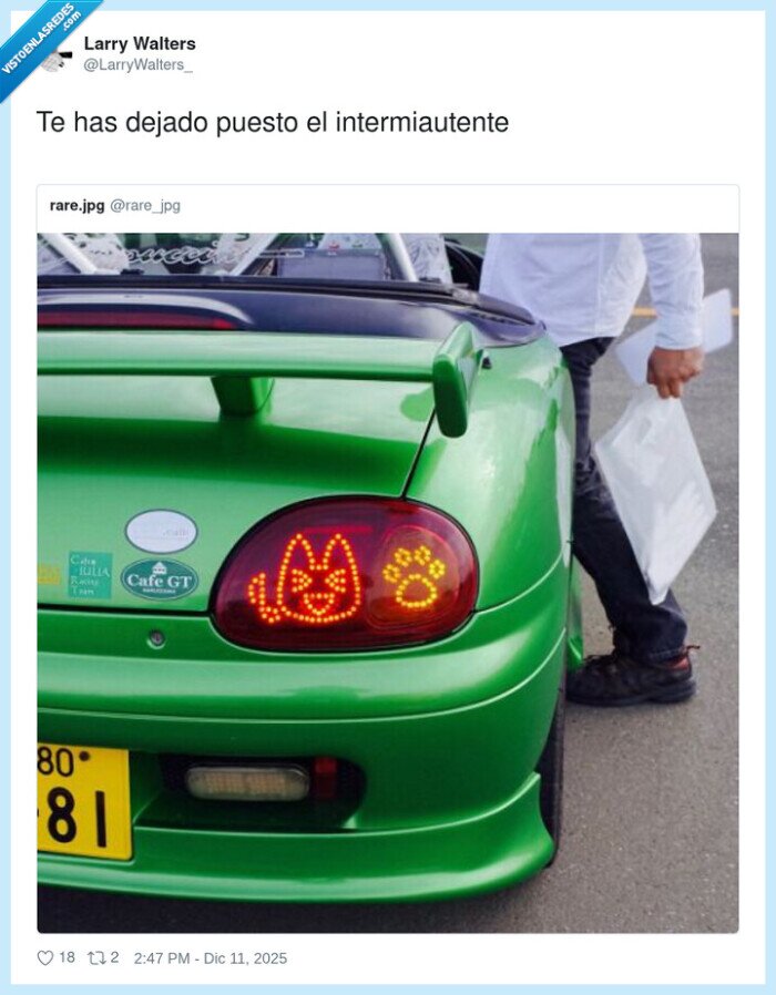 coche,luz,carrocer&iacute;a,gato,intermitente