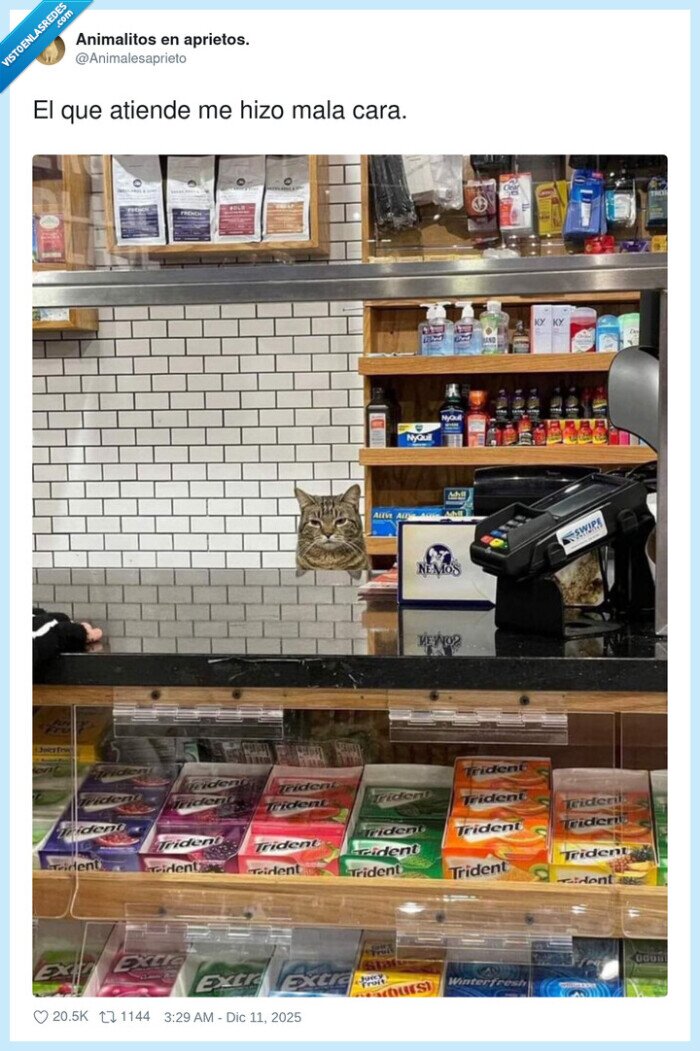 gato,cajero,cara mala,tienda,chicle