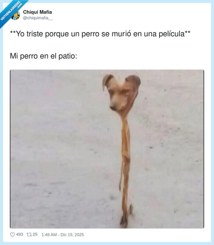 perro,tristeza,cine,comparaci&oacute;n