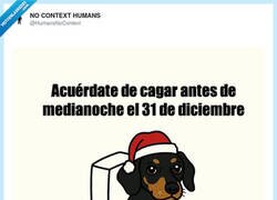 Enlace a Propósito de Año Nuevo: dejar la mierda en 2025, literal y figuradamente, por @HumansNoContext