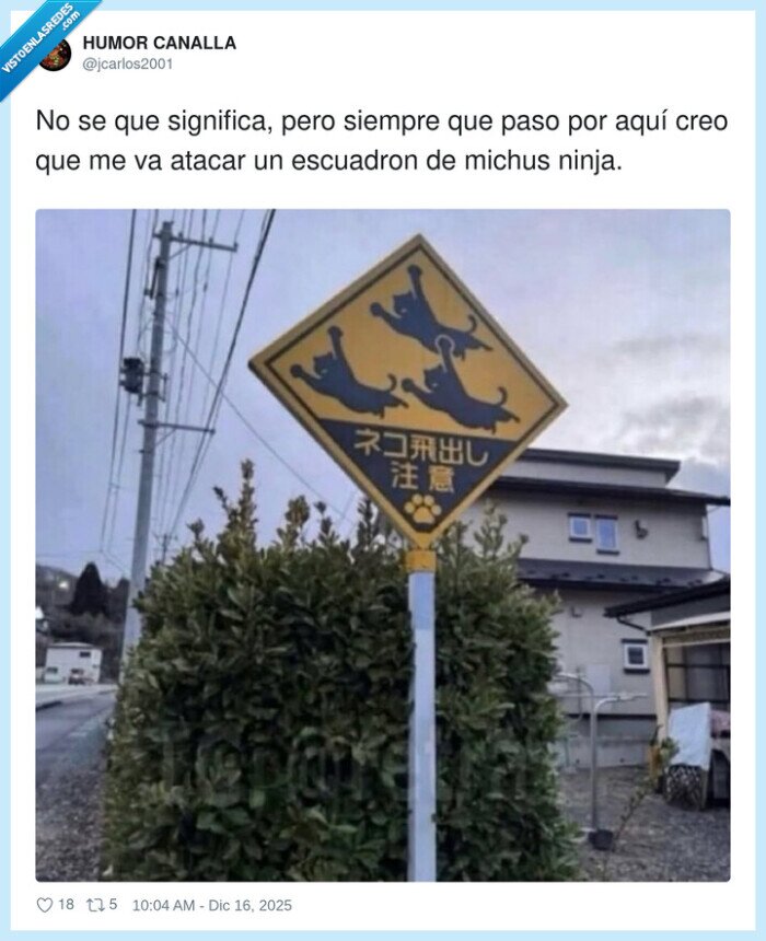se&ntilde;al,gatos,ninja,atenci&oacute;n,japon&eacute;s