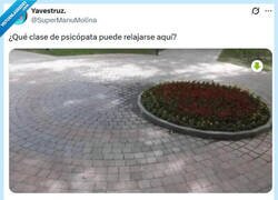 Enlace a Da TOC por @supermanumolina