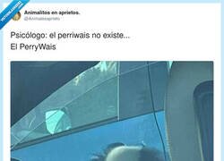 Enlace a Yo fingiendo que todo bien pero por dentro soy el perro de IT, por @Animalesaprieto