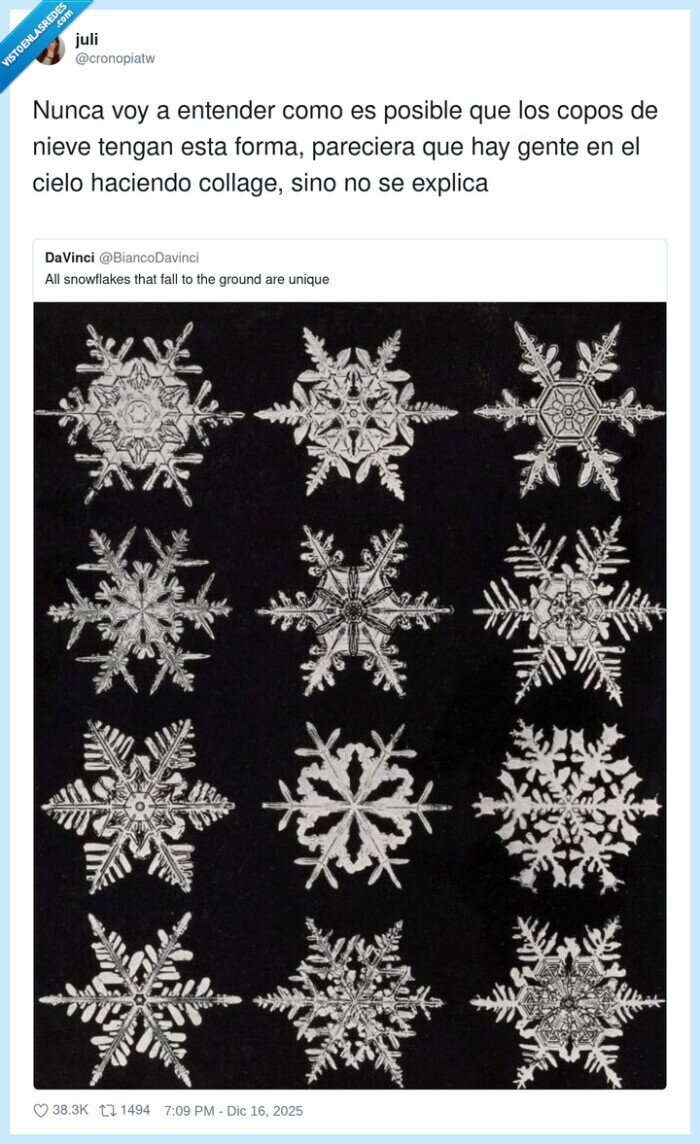 copos_de_nieve,naturaleza,fotograf&iacute;a,dise&ntilde;o,unicidad