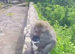 Enlace a Qué rencoroso, por @anonimo_jones