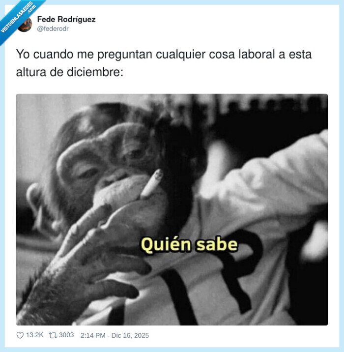 trabajo,diciembre,duda,chimpanc&eacute;,ignorancia